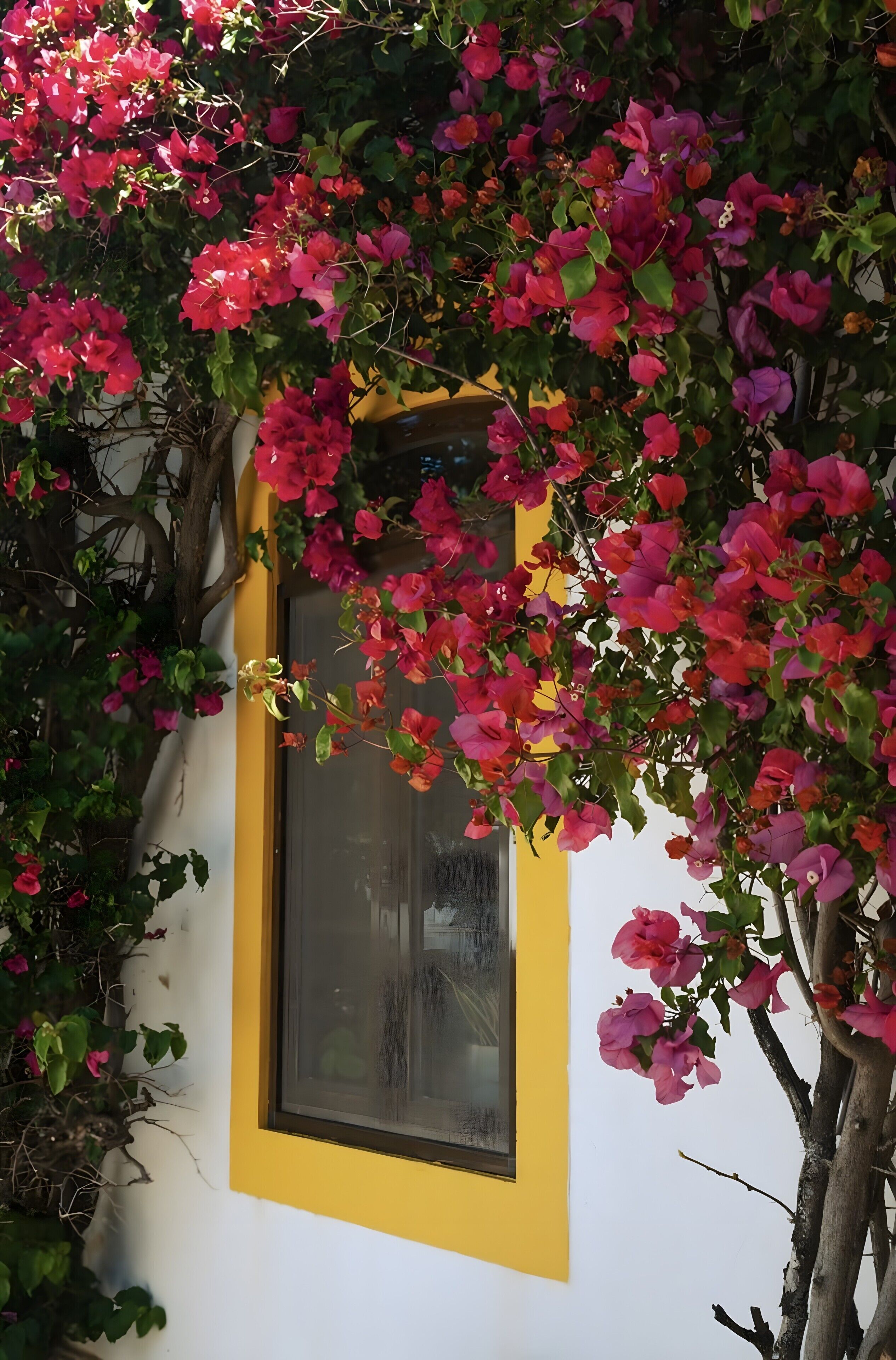 Detalhe da fachada