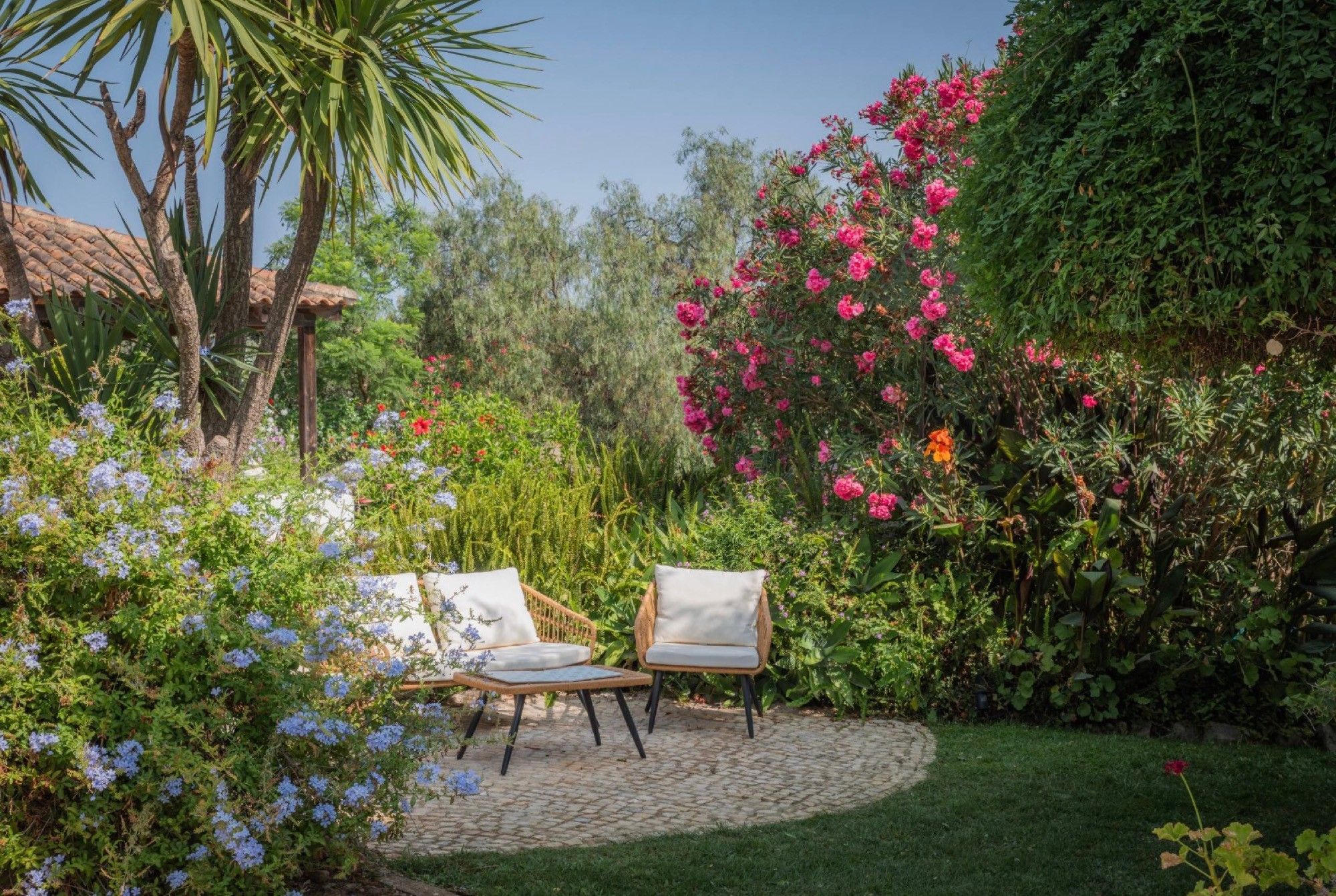 A garden with a paved area, two chairs, and a variety of plants and flowers.