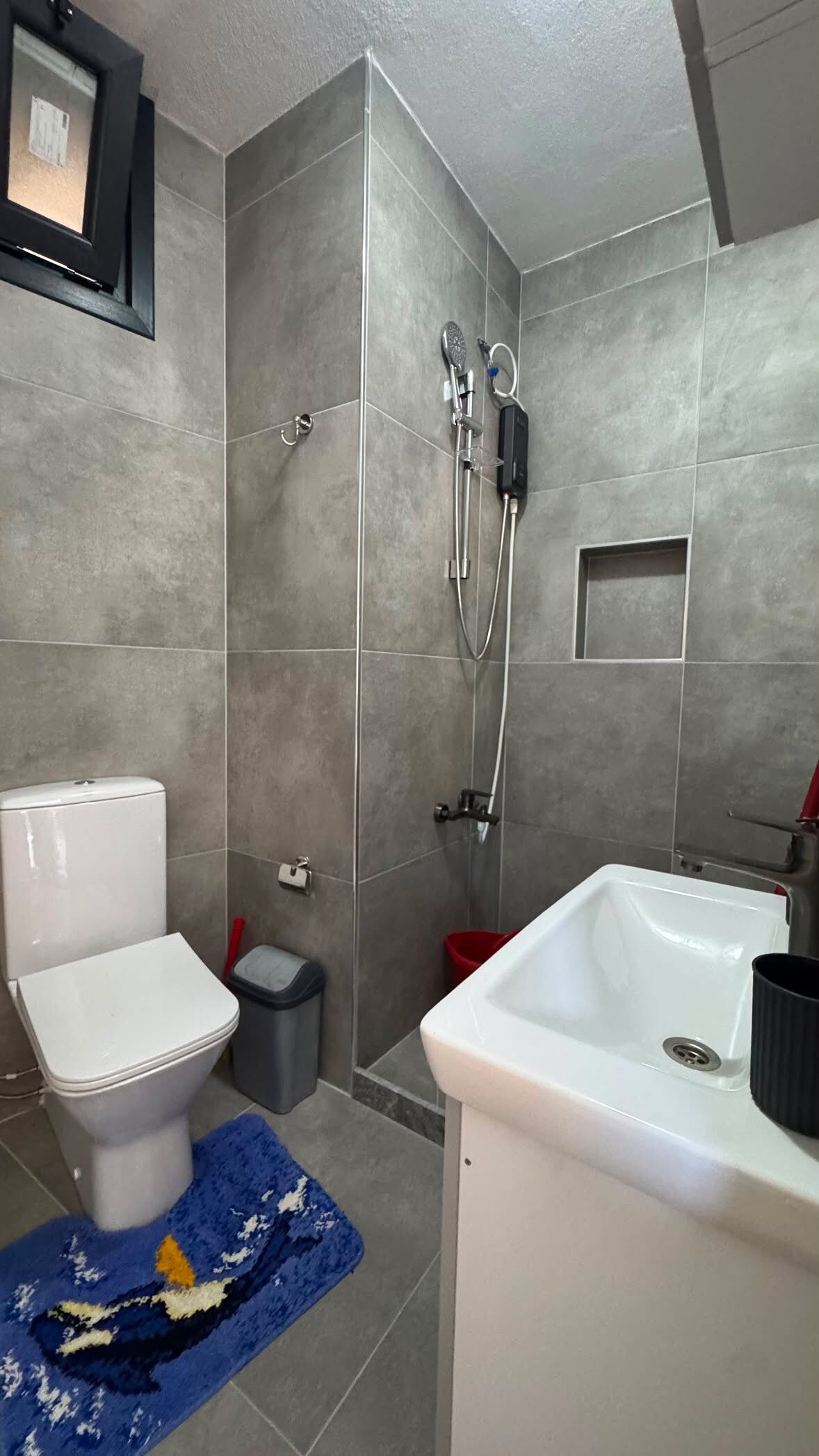 Shower, bidet, towels, soap