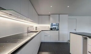Eine moderne Küche mit Einbauherd, Spüle und Kühlschrank.