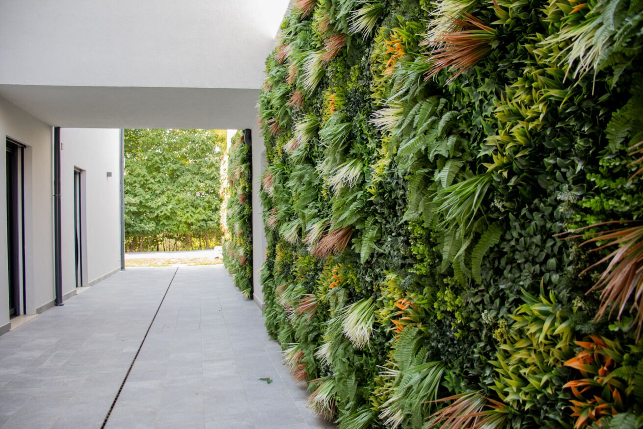 Um edifício moderno com parede coberta por um jardim vertical e um caminho de concreto.
