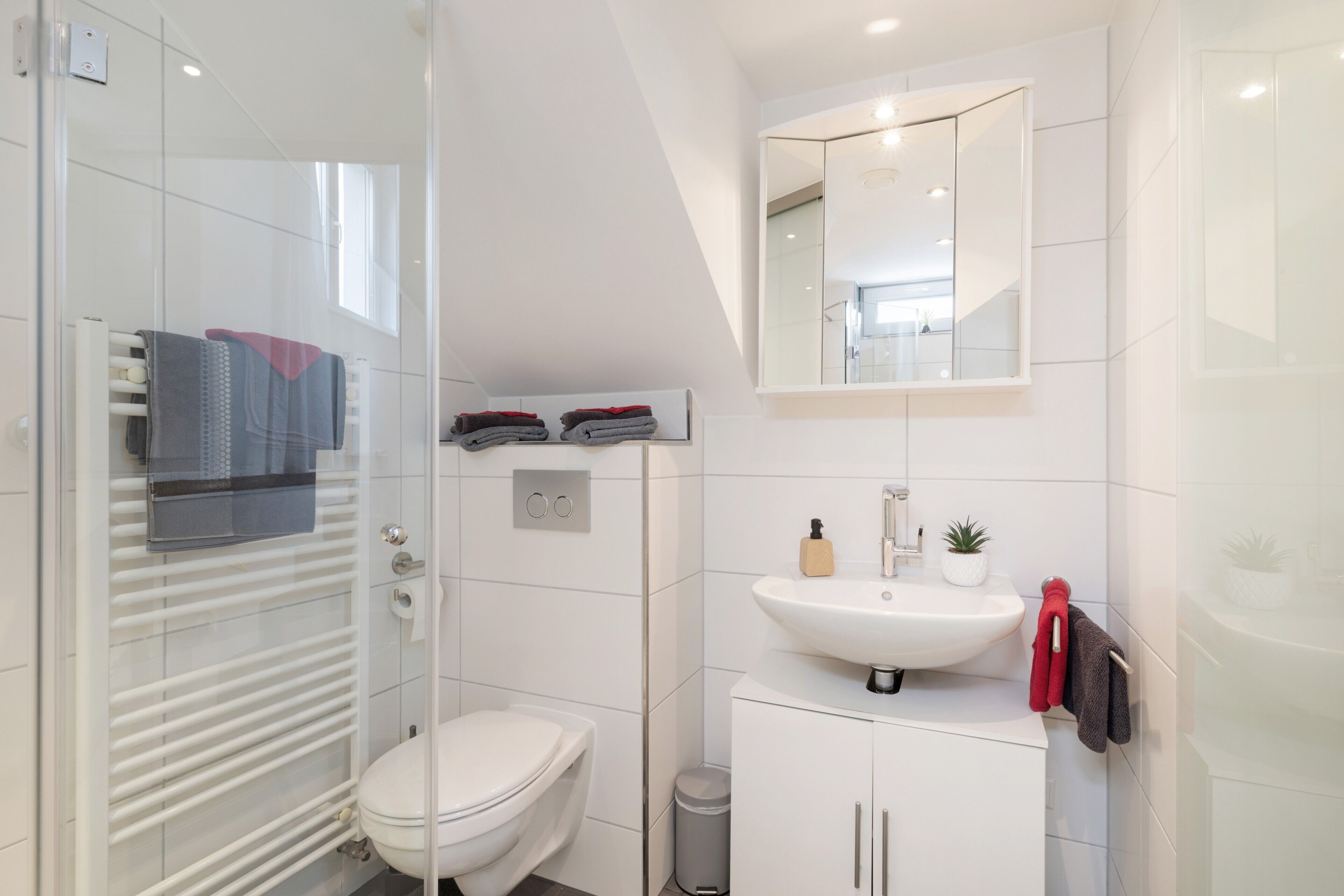 A modern bathroom with a glass shower enclosure, a white toilet, a vanity with a sink, and a mirror above the mirror.