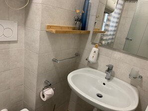 Regadera, secadora de cabello, bidet, toallas 