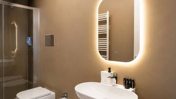 Shower, hair dryer, bidet, towels