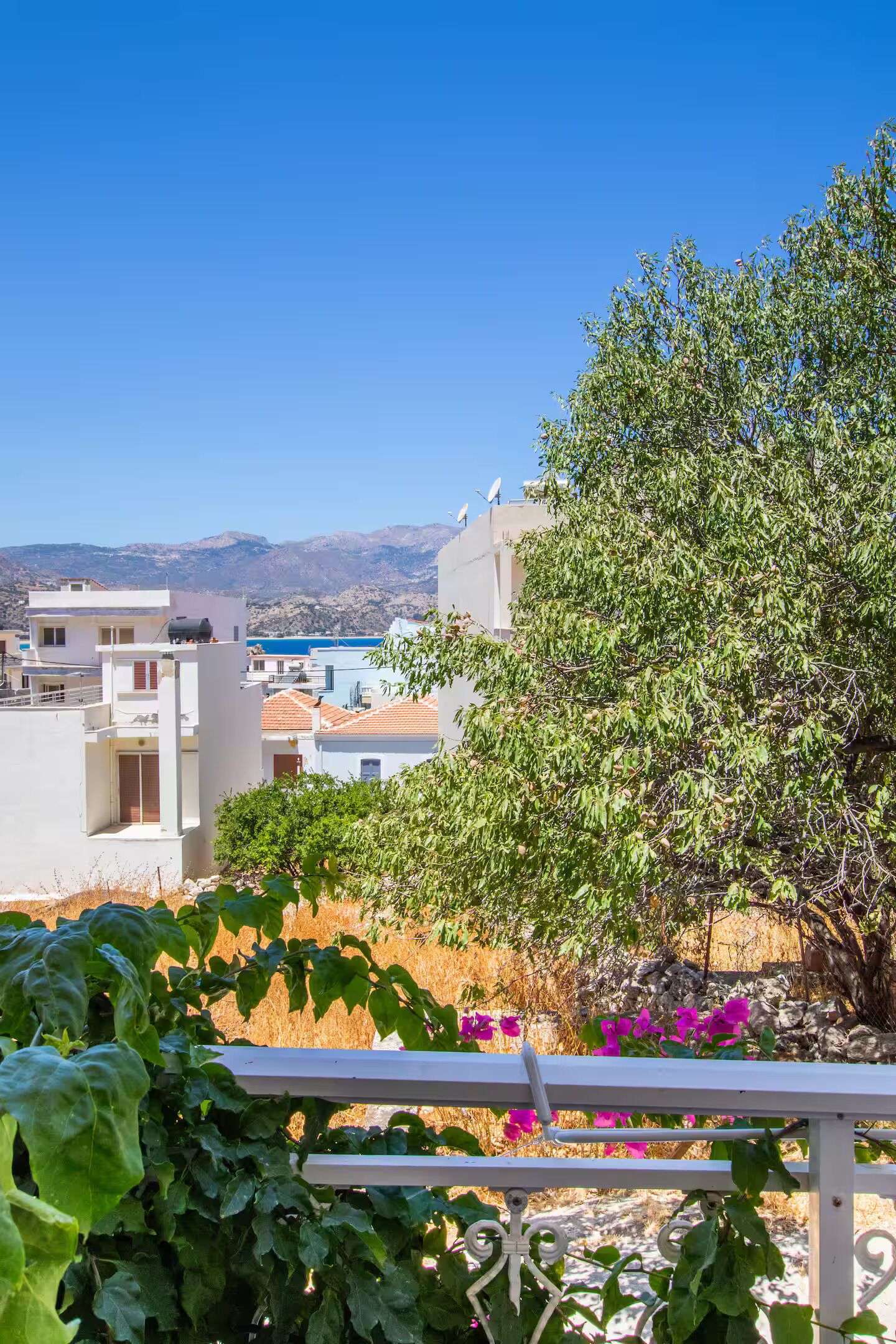 A residential area with white buildings, a tree, and a clear blue sky.