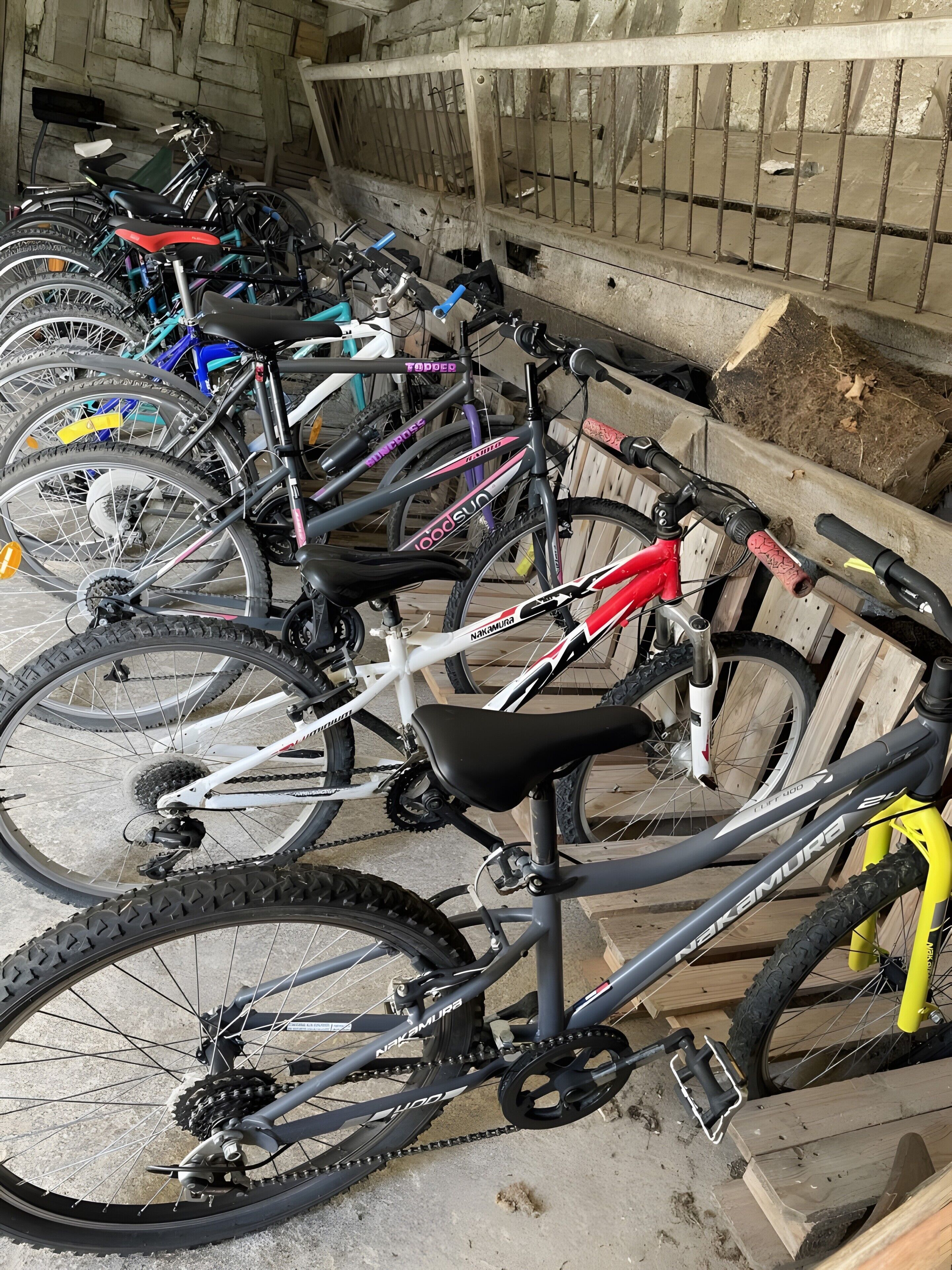 Flere cykler parkeret indendørs, med betongulv og trævægge.