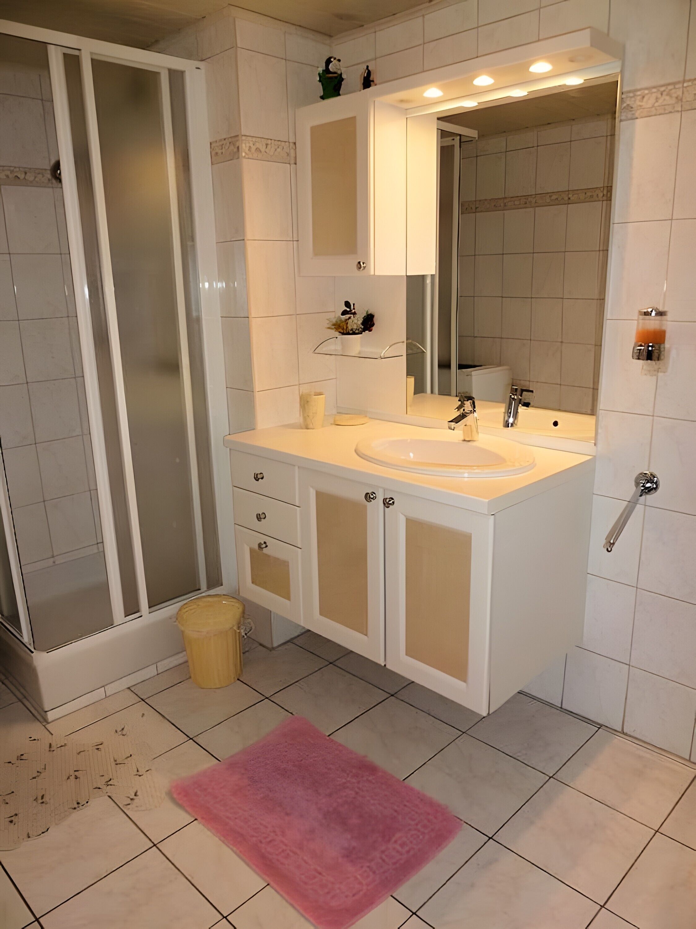 Dusche, Haartrockner