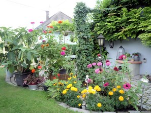 Property grounds - Cottage 'Gîte Rural À L'orée De La Forêt' with Private Terrace, Private Garden and Wi-Fi (Kutzenhausen)