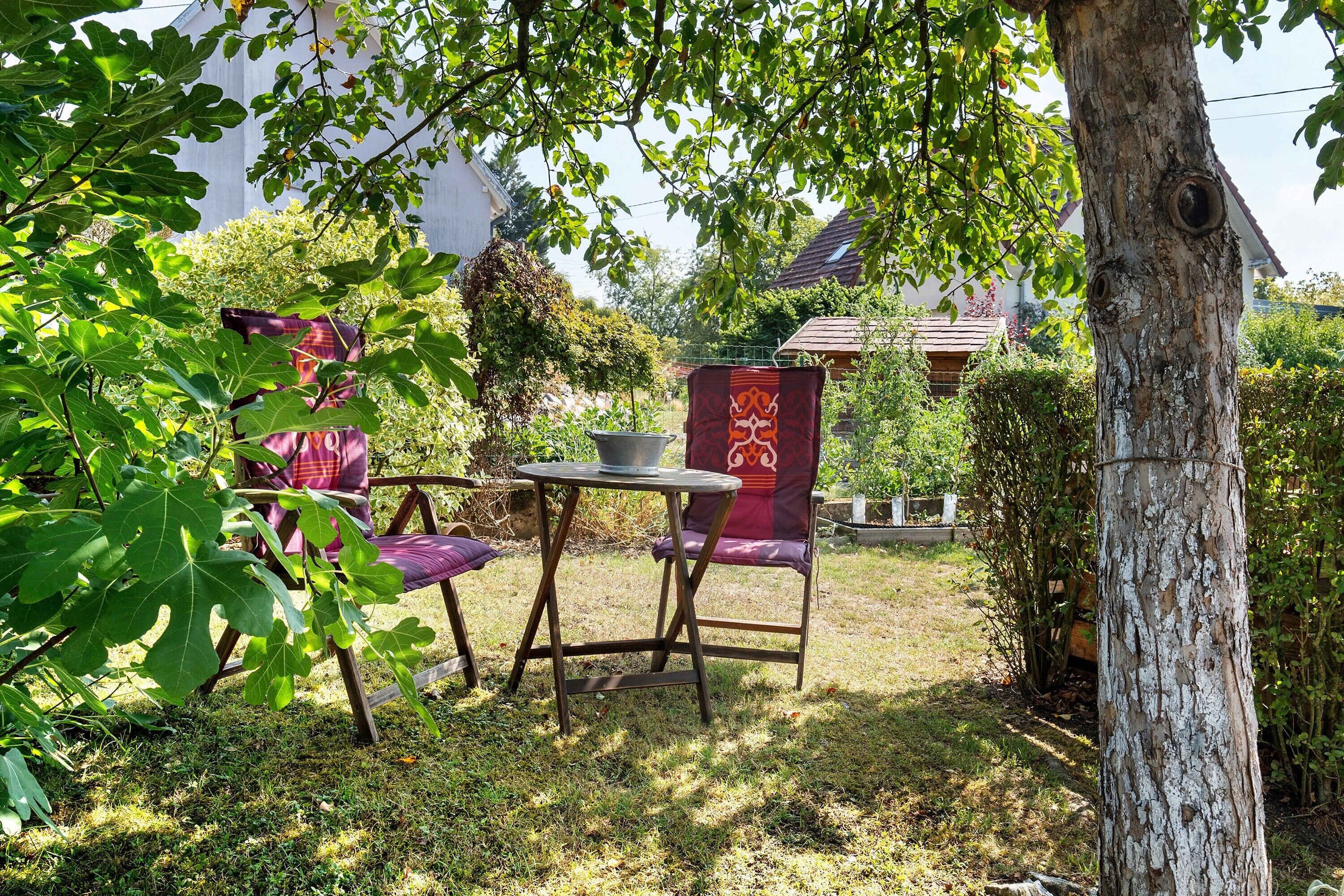 Un espace extérieur aménagé avec une table et des chaises, entouré de verdure et d’un arbre.