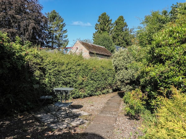 A narrow gravel path leading to a building surrounded by dense greenery.
