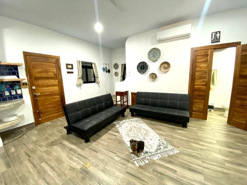 A living room with two black sofas, a patterned rug, and a dog.