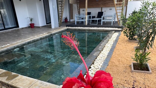 Una piscina con una flor roja en primer plano.