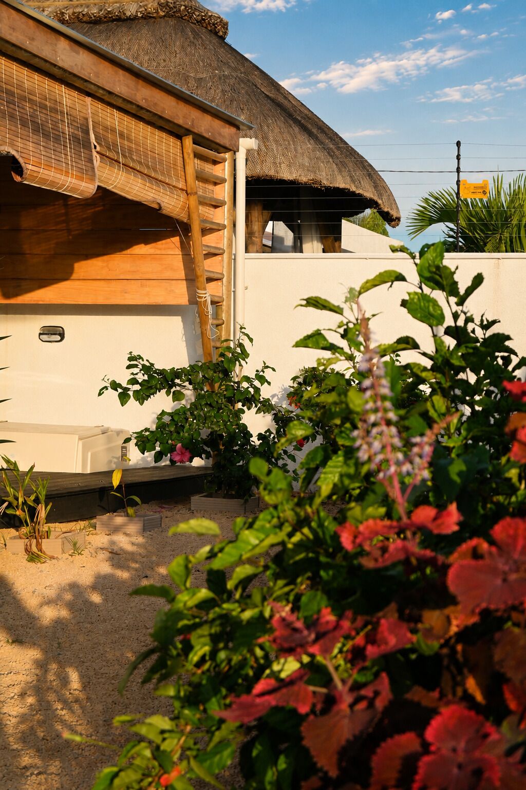 A traditional thatched-roof building with a wooden ladder and a white wall.