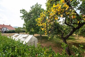A greenhouse in a garden with fruit trees and a house in the background. - Apartment 'Maison De Vacances Dans Les Vosges' with Mountain View, Private Terrace and Wi-Fi (Granges-Aumontzey)