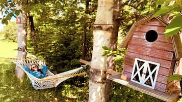 A hammock between trees, a wooden birdhouse, and a person relaxing.