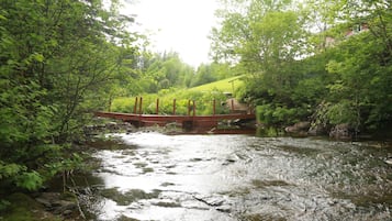 A river flowing through a forest with a wooden bridge.
