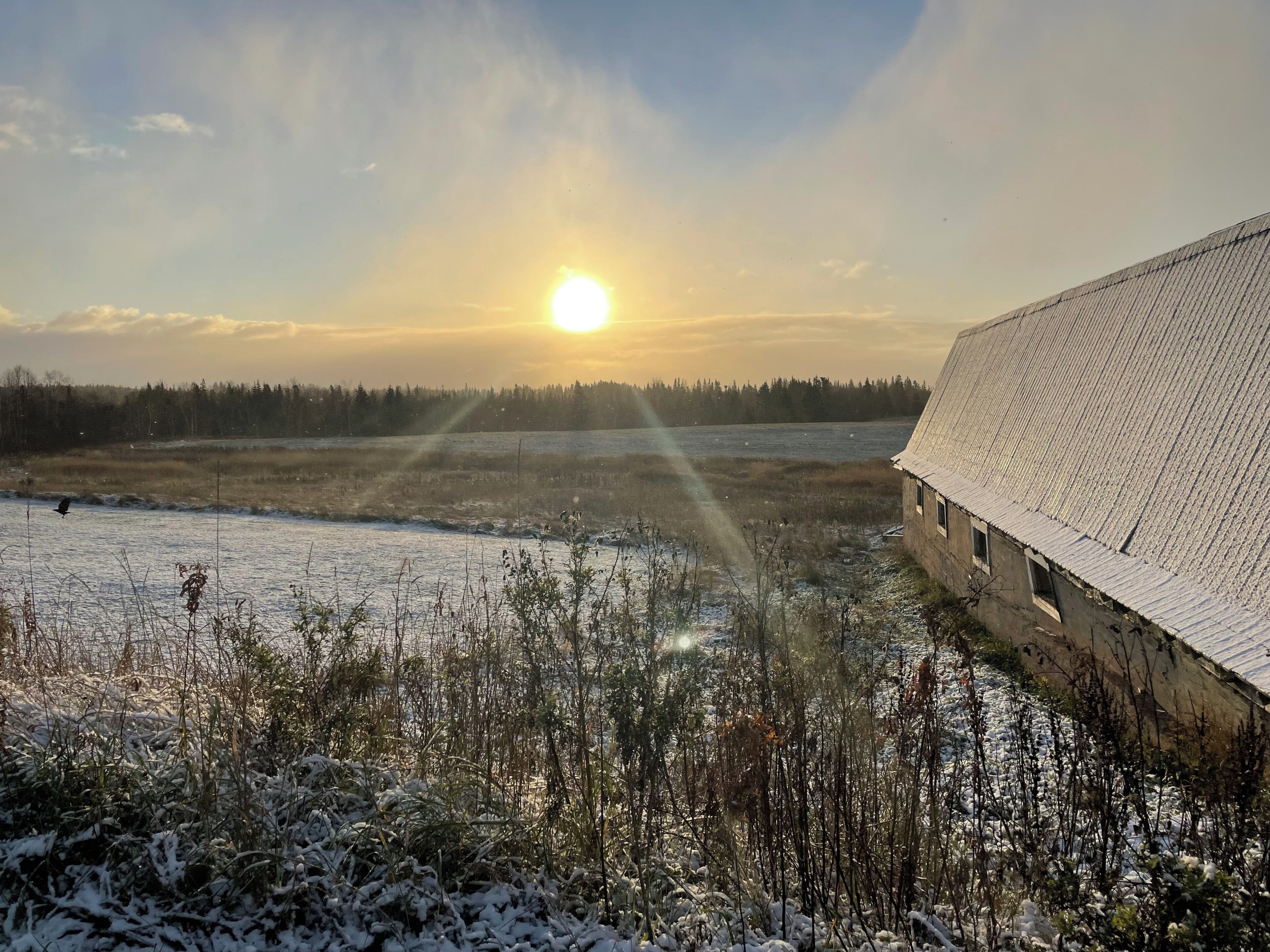 Ein schneebedecktes Feld mit einem Gebäude mit geneigtem Dach.