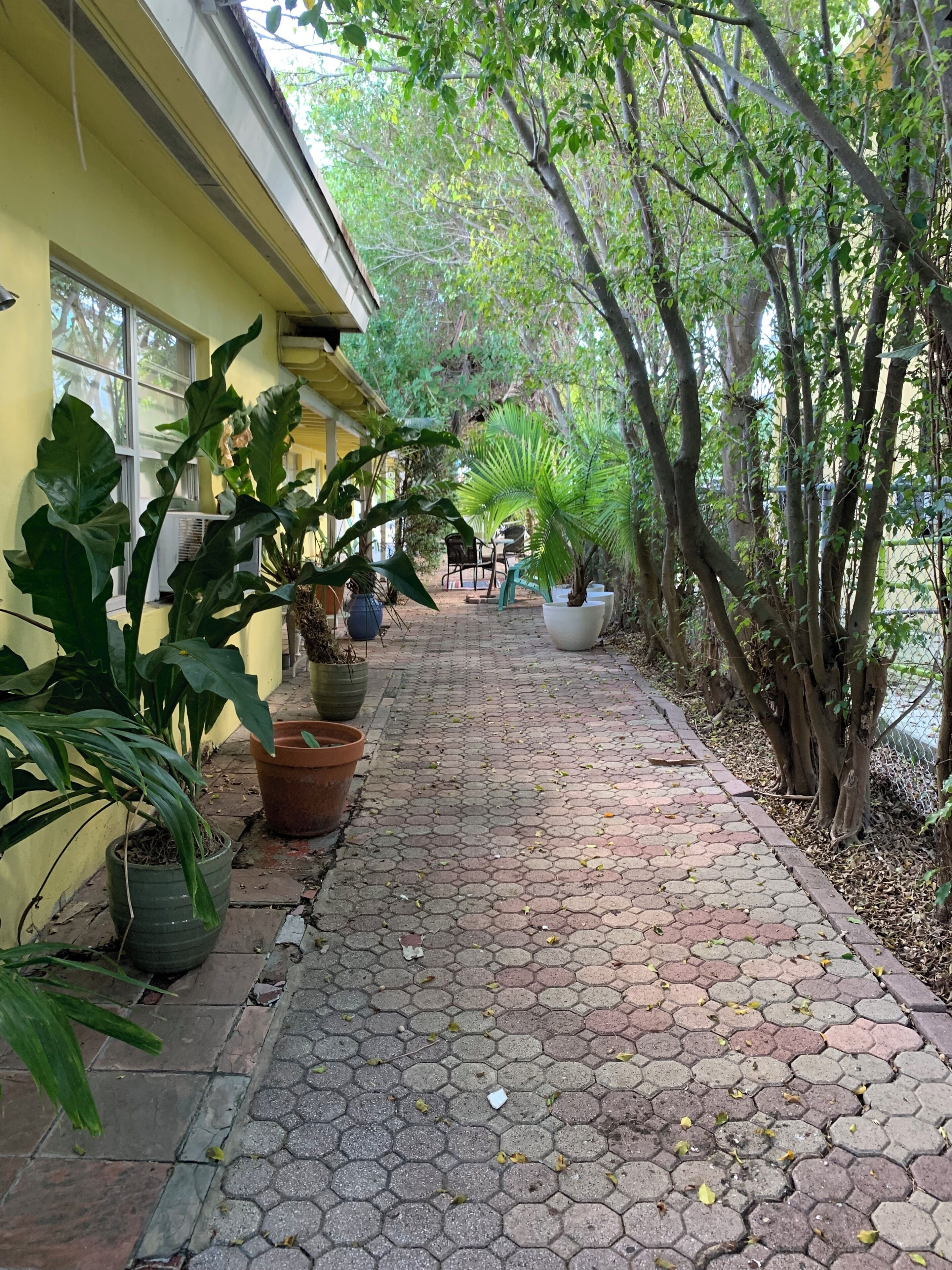 Un chemin pavé, bordé de plantes en pot et d’arbres, mène à un bâtiment doté de grandes fenêtres.