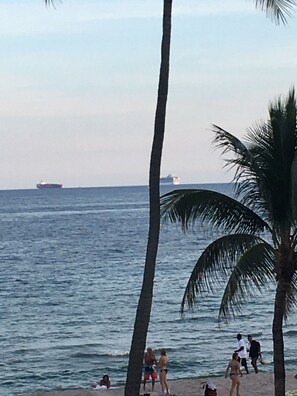 A beach with palm trees, people, and a ship in the distance. - BEACH Studio #2 The Village of Lauderdale-by-the-Sea (Lauderdale-by-the-Sea)