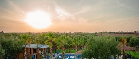 A pool area with palm trees, a small building, and a view of the countryside at sunset.
