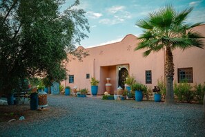 A building with a stucco exterior, a palm tree, and potted plants.