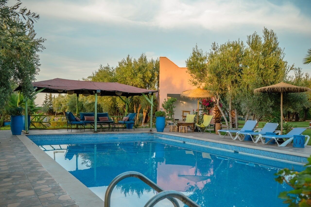 A swimming pool with lounge chairs and umbrellas, surrounded by trees and a building.