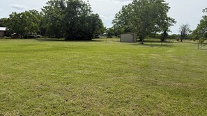 Un campo cubierto de césped con árboles y un cobertizo pequeño.