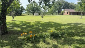 A grassy area with trees and a building. - Pleasant Farms - A Luxurious Retreat with Tree House in charming Wharton (Wharton)