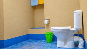 Een badkamer met een toilet, een groene prullenbak en een toiletrol aan de muur.