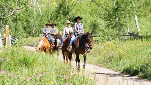Horseback Riding - Close to Ski Townhome 1096 (Steamboat Springs)