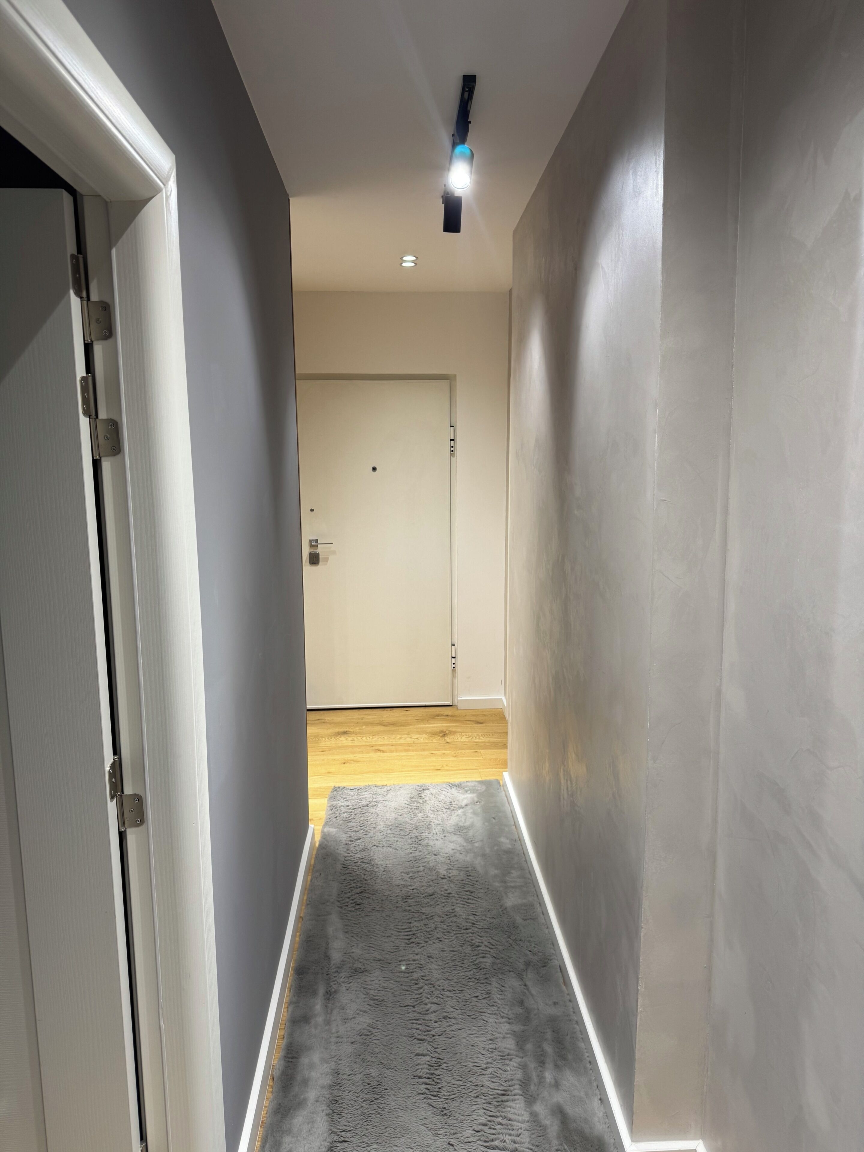 Un couloir avec un tapis gris, une porte blanche au fond et un luminaire au plafond.