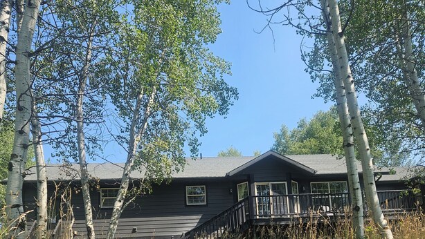 A gravel path leading to a wooden cabin with a deck, surrounded by trees and vegetation.