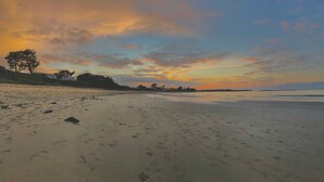 Una spiaggia con impronte, alberi e un tramonto.