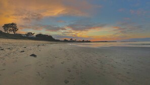 Ein Strand mit Fußabdrücken, Bäumen und einem Sonnenuntergang.