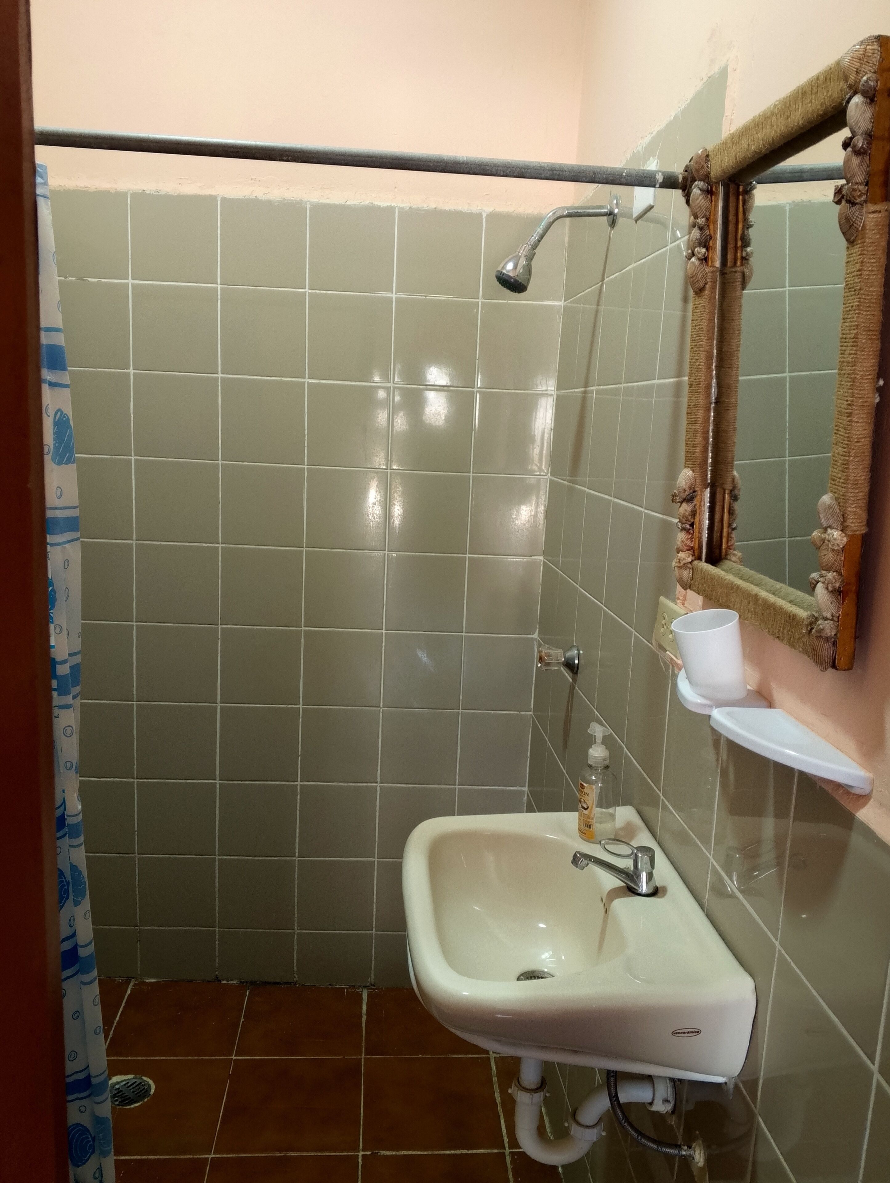 A bathroom with a shower, a sink, and a mirror.