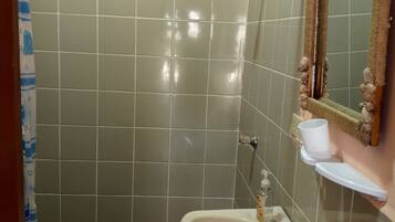 A bathroom with a shower, a sink, and a mirror.
