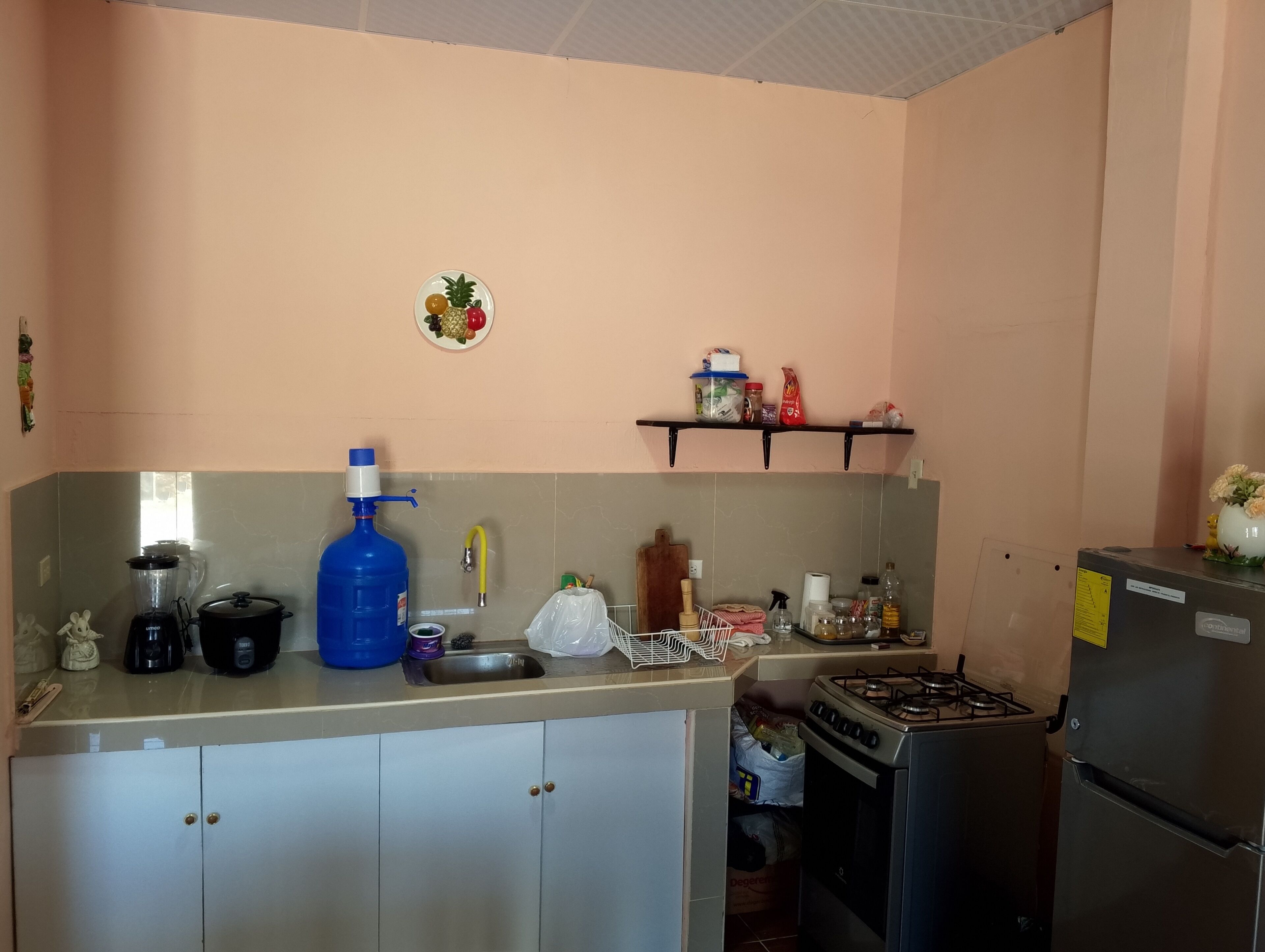 Oven, blender, cookware/dishes/utensils, spices