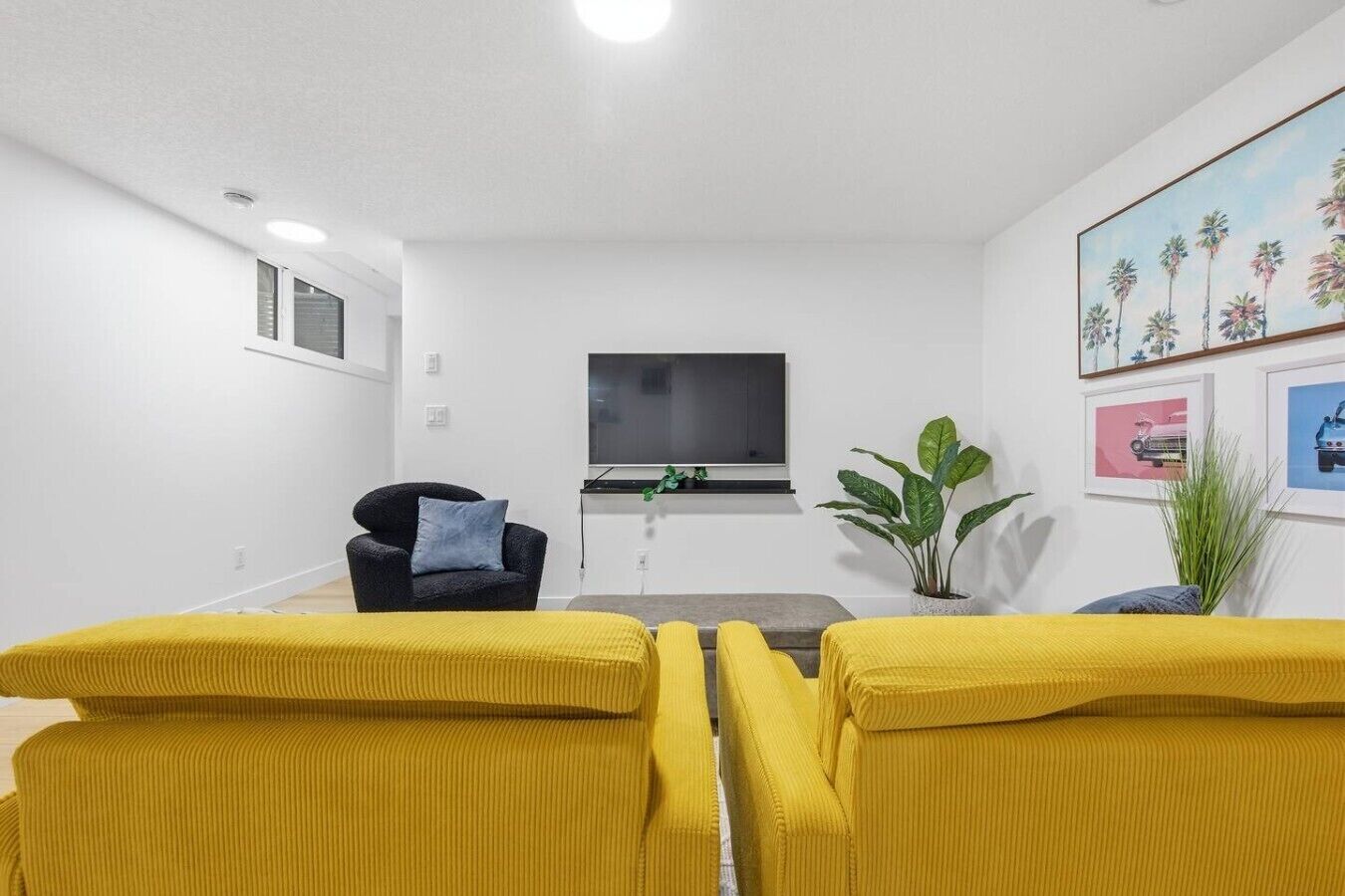 TV