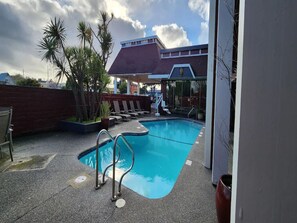Ein Schwimmbecken mit einer Metallleiter, umgeben von Liegestühlen und Palmen.