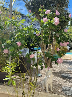 Un giardino con rose rosa, una statua bianca e una piscina sullo sfondo.
