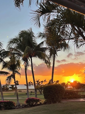 Sonnenuntergang mit Palmen und einem Golfplatz.