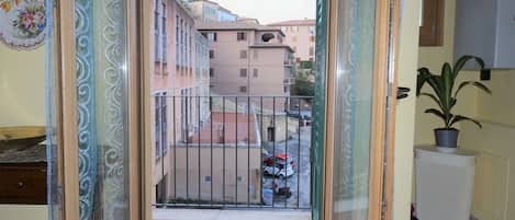 A balcony with a view of a residential street, a potted plant, and a radiator.
