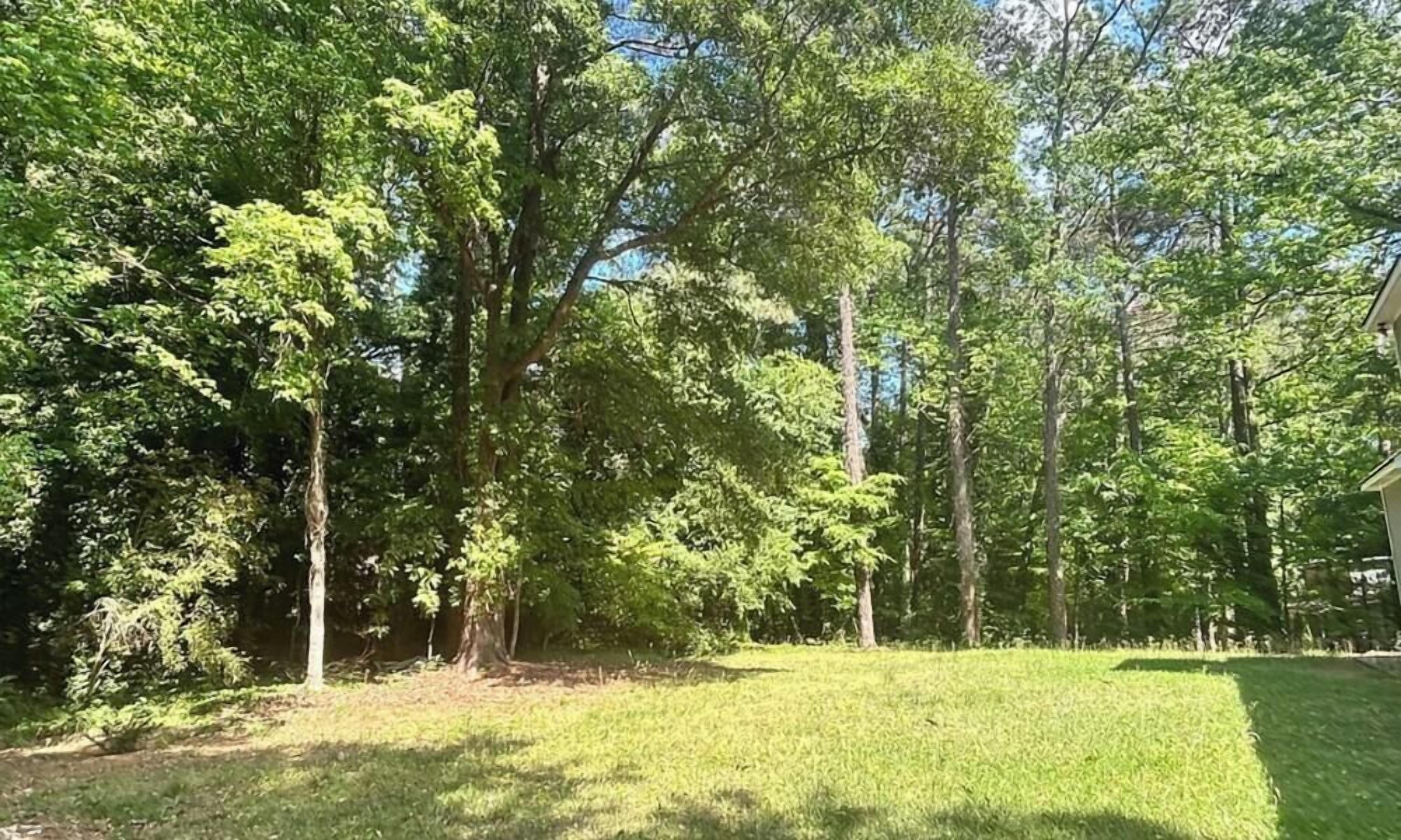 A grassy yard with trees and a building.