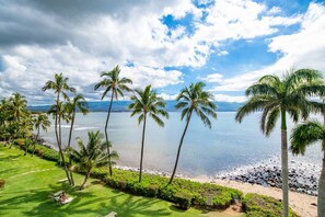A tropical beach with palm trees, a clear sky, and a calm sea.