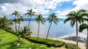 Vista de uma praia tropical com palmeiras, céu claro e mar calmo.