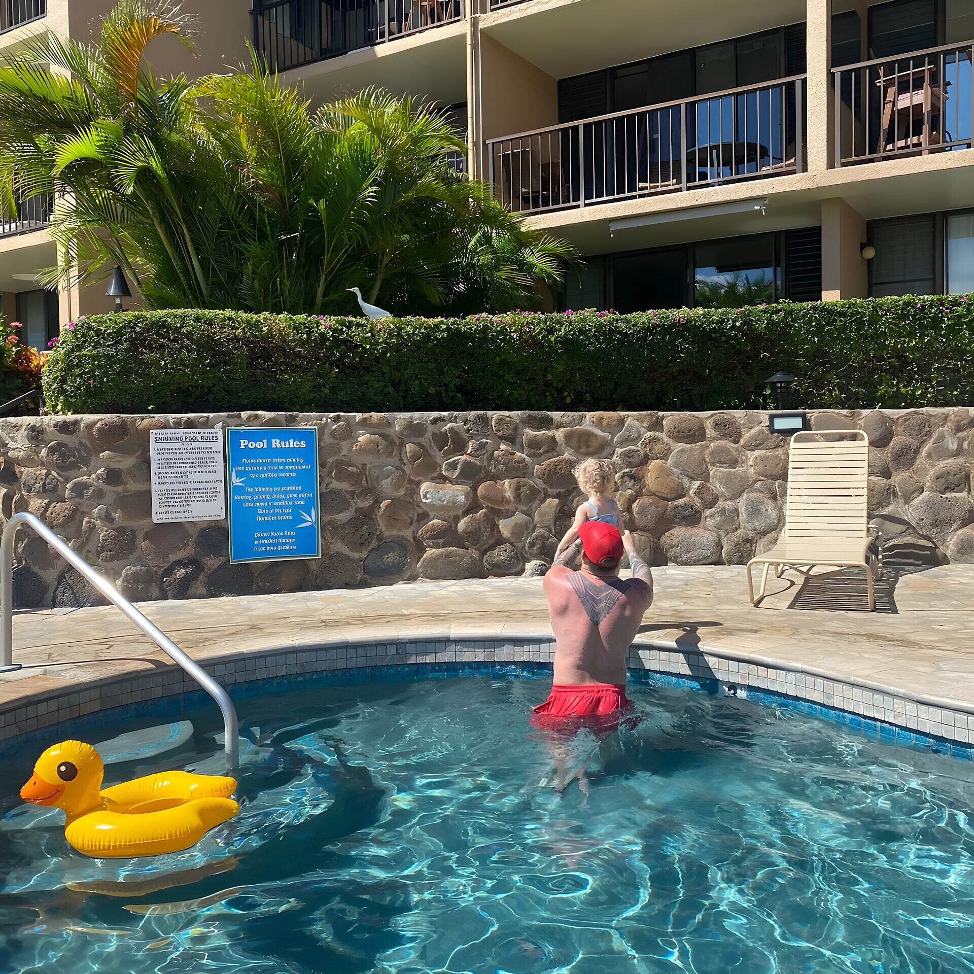 A swimming pool with a stone wall and a sign indicating pool rules.