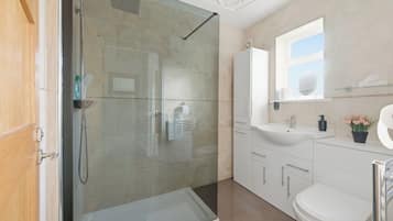 Hair dryer, towels, shampoo, toilet paper