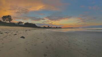 A beach with footprints, trees, and a sunset.