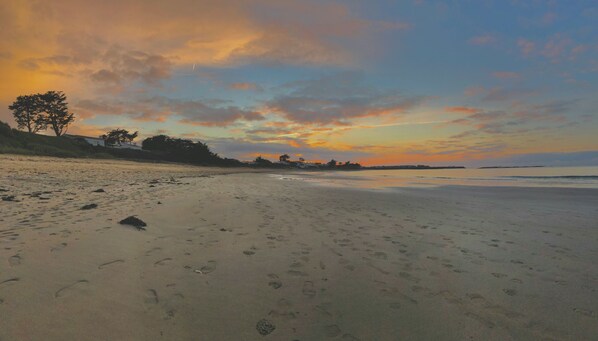 A beach with footprints, trees, and a sunset.