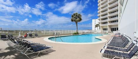 A pool area with lounge chairs, a palm tree, and a high-rise building in the background.